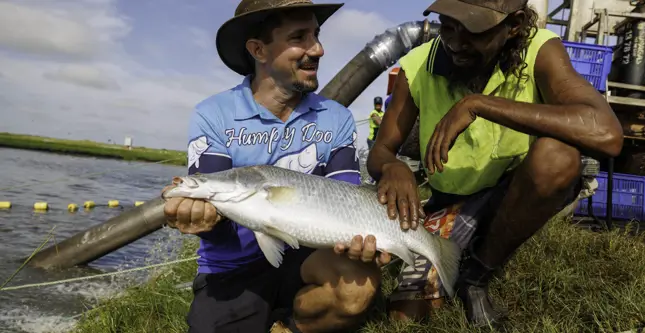 First NT project will take more Barramundi to the world