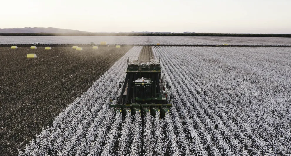 Cotton farm in the Kimberley region