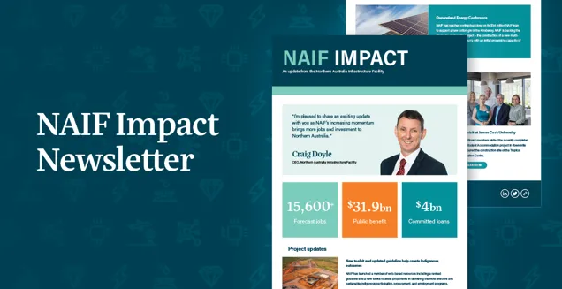 NAIF Newsletter June 2024 banner