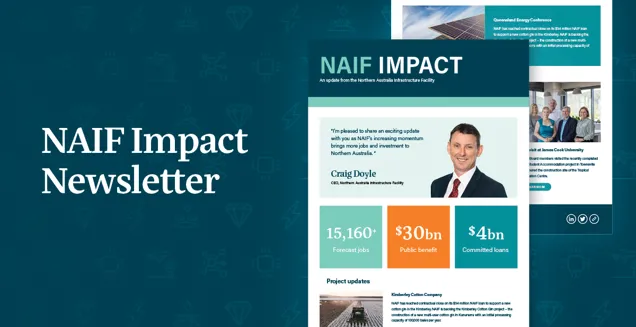 NAIF Newsletter generic image