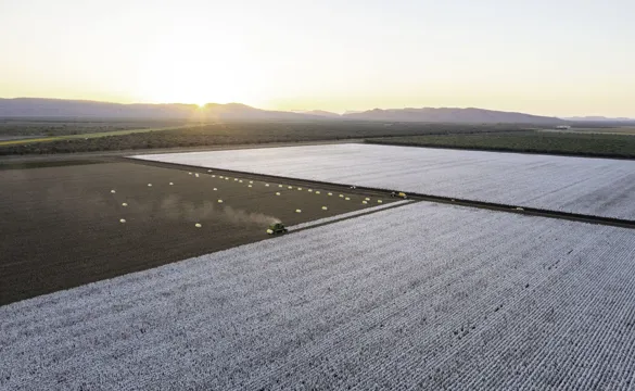 Kimberley Cotton Co Gin Aerial Wide View Of Tracktor Picking Cotton In A Large Field At Sunset With Mountains Kununnurra