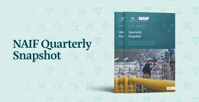 NAIF Quarterly Snapshot April - June 2023-24